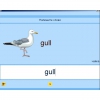 Английский язык. Освоение клавиатуры - «globural.ru» - Севастополь