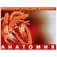 Анатомия. (Цифровой атлас школьника) - «globural.ru» - Севастополь