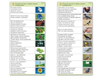 Комплект карточек (10) "Обучающий калейдоскоп. Природа" - «globural.ru» - Севастополь