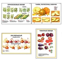 Плакаты ПРОФТЕХ "Ассортимент овощных культур" (12 пл, винил, 70х100) - «globural.ru» - Севастополь