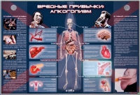 Электрифицированный стенд "Вредные привычки: алкоголизм" - «globural.ru» - Севастополь