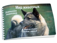 Пособие для слабовидящих "Домашние животные" - «globural.ru» - Севастополь