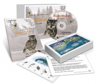 Комбинированное наглядное пособие «Животные» - «globural.ru» - Севастополь