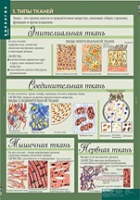 Биология 8-9 класс. Человек. (комплект таблиц) - «globural.ru» - Севастополь