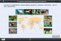 Интерактивные курсы. Биология 7 класс. Расширенный - «globural.ru» - Севастополь