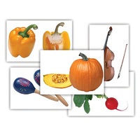 Набор предметных картинок "Овощи. Музыкальные инструменты" - «globural.ru» - Севастополь