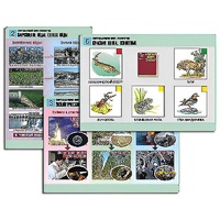 Комплект таблиц для  начальной школы "Окружающий мир. Экология" - «globural.ru» - Севастополь