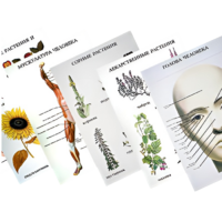 Таблицы по природоведению 1-3 класс - «globural.ru» - Севастополь