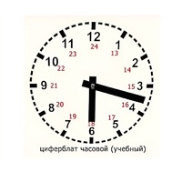 Часовой циферблат раздаточный - «globural.ru» - Севастополь