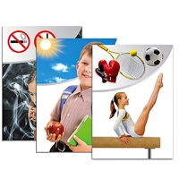 Модель-аппликация "Здоровье человека" - «globural.ru» - Севастополь