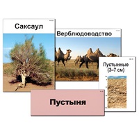 Модель-аппликация "Природные зоны России" - «globural.ru» - Севастополь