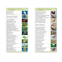 Комплект карточек (10) "Обучающий калейдоскоп. Природа" - «globural.ru» - Севастополь