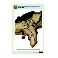 Рельефная таблица "Археоптерикс" (формат А1, матовое ламинир.) - «globural.ru» - Севастополь