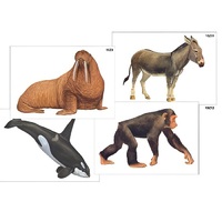 Модель-аппликация "Разнообразие высших хордовых 2. Млекопитающие" (ламинированная) - «globural.ru» - Севастополь