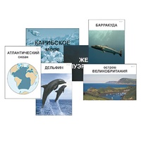 Модель-аппликация "Океаны. Знакомство" (ламинированная) - «globural.ru» - Севастополь