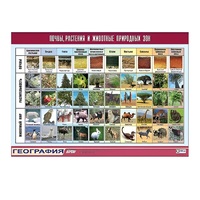 Таблица демонстрационная "Почвы, растения и животные природных зон" (винил 100x140) - «globural.ru» - Севастополь