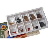 Коллекция "Плоды сельскохозяйственных растений" (вариант 2) - «globural.ru» - Севастополь