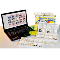 Коллекция натурально-интерактивная "Пластмассы" - «globural.ru» - Севастополь