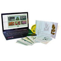 Гербарий натурально-интерактивный "Лекарственные растения" - «globural.ru» - Севастополь