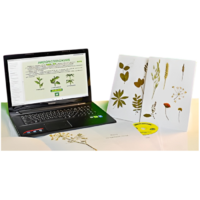 Гербарий натурально-интерактивный "Морфология растений" - «globural.ru» - Севастополь