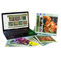 Гербарий натурально-интерактивный "Основные группы растений. Грибы. Лишайники" - «globural.ru» - Севастополь