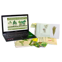 Гербарий натурально-интерактивный "Растительные сообщества. Лес" - «globural.ru» - Севастополь