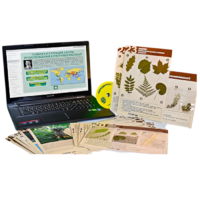 Гербарий натурально-интерактивный к курсу основ общей биологии - «globural.ru» - Севастополь