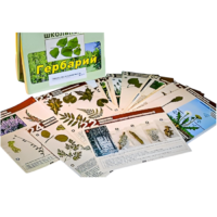 Гербарий к курсу основ общей биологии - «globural.ru» - Севастополь