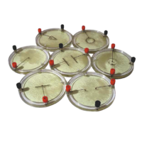 Демонстрационный комплект «Силовые линии электрического поля разных систем зарядов» - «globural.ru» - Севастополь