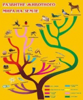 Стенд "Развитие животного мира на земле" - «globural.ru» - Севастополь