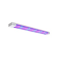 Фитолампа - «globural.ru» - Севастополь