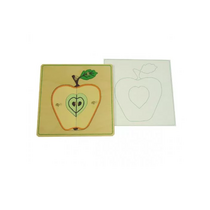 Части яблока с контуром - «globural.ru» - Севастополь