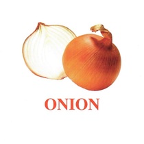 "Vegetables-Greenery-1" ("Овощи-Зелень-1") английские карточки Домана - «globural.ru» - Севастополь