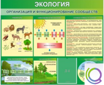 Стенд "Экология. Организация и функционирование сообществ" - «globural.ru» - Севастополь