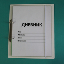 Дневник школьника (с полным набором карточек) - «globural.ru» - Севастополь