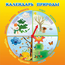Стенд "Календарь природы" 0.5x0.5 - «globural.ru» - Севастополь