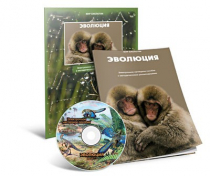 Электронное наглядное пособие «Эволюция» - «globural.ru» - Севастополь