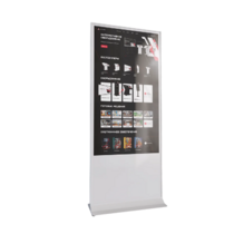 Интерактивный сенсорный киоск Nova 43" - «globural.ru» - Севастополь