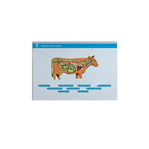 Стенд-планшет светодинамический "Изучение нервной системы сельскохозяйственных животных" со сменными панелями - «globural.ru» - Севастополь