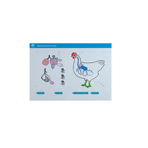 Стенд-планшет светодинамический "Изучение органов дыхания сельскохозяйственных животных" со сменными панелями - «globural.ru» - Севастополь