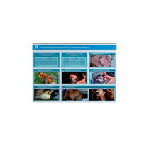 Стенд-планшет светодинамический "Изучение типических патологических процессов в организмах животных" - «globural.ru» - Севастополь