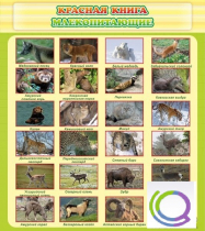 Стенд "Красная книга - млекопитающие" - «globural.ru» - Севастополь
