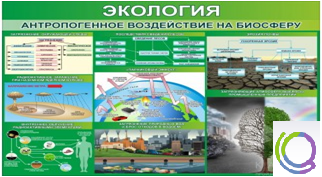 Стенд "Экология. Антропогенное воздействие на биосферу" - «globural.ru» - Севастополь