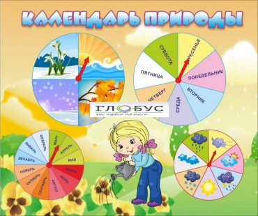 Стенд "Календарь природы" (вариант 1) - «globural.ru» - Севастополь