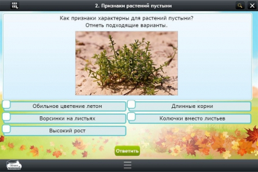 Интерактивные курсы. Окружающий мир 3 класс. Базовый - «globural.ru» - Севастополь