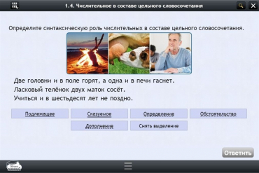Интерактивные курсы. Русский язык 6 класс. Базовый - «globural.ru» - Севастополь