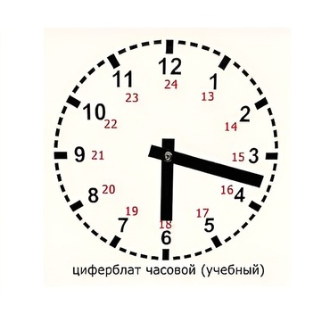 Часовой циферблат раздаточный - «globural.ru» - Севастополь
