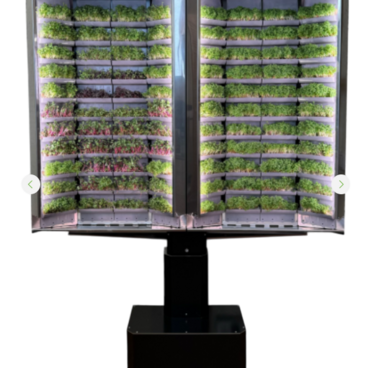 Вертикальная  ферма «Моя микрозелень» комплектация  «Театро настенная» - «globural.ru» - Севастополь