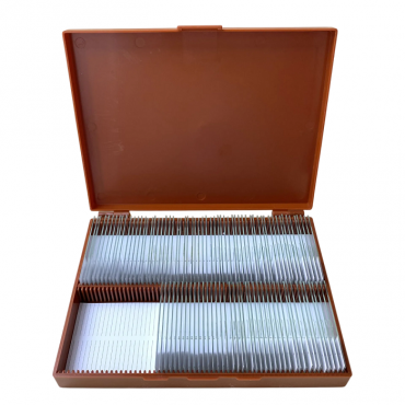 Комплект микропрепаратов по анатомии, ботанике, зоологии, общей биологии - «globural.ru» - Севастополь