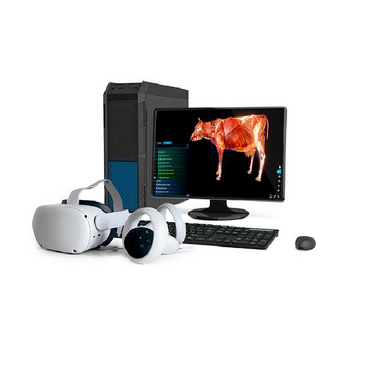 Интерактивный учебный комплекс «Анатомия Коровы» - «globural.ru» - Севастополь